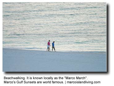 beaches marco beach florida island