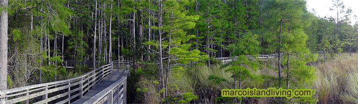 Florida Birding Trail