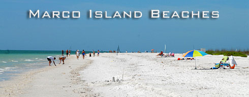 Discover the Charm of Marco Island Beach Cams