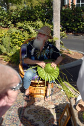 Florida Farmers Markets