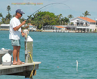 Everglades FL Nature Boat Tours