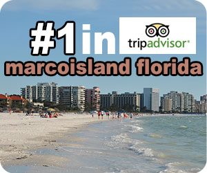 Number One in America! Marco Island is acknowledged by Trip Advisor