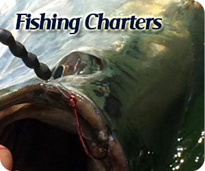 Florida Fishing Charters