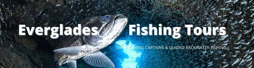 SW FL Fishing Captains Everglades Fishing Tours 