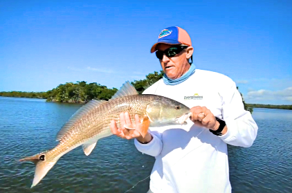 Backwater fishing tours of the Florida Everglades