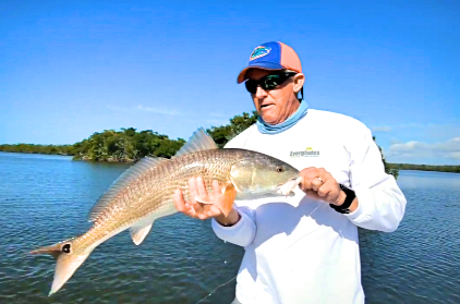 back water fishing with capt jimmy - Reviews, Photos - Everglades