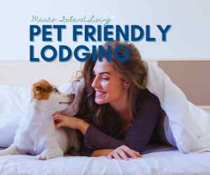 Pet Friendly Hotels Motels Suites 