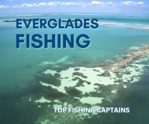 Everglades Fishing Tours Trout Snook Tarpon Grouper 