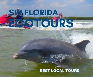 Florida Ecotours